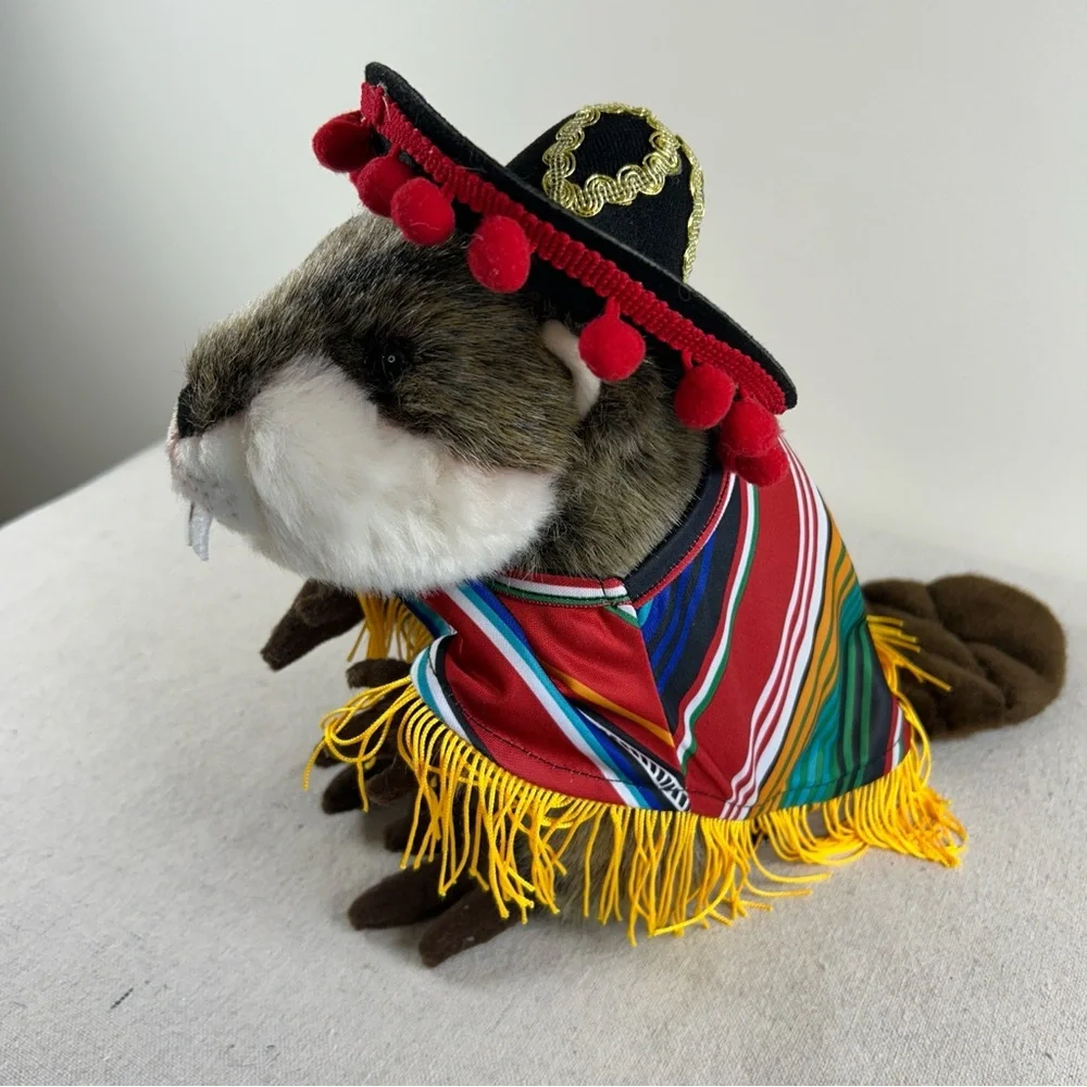 Cinco de Mayo Costume with Sombrero for Small Dog